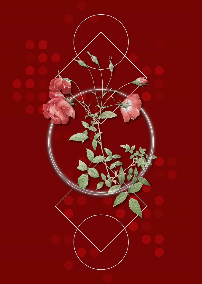 Vintage Red Rose