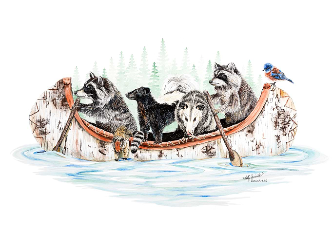 Critter Canoe