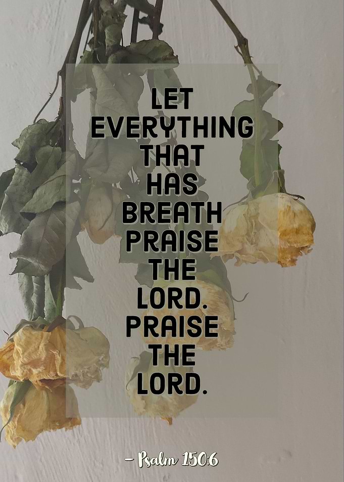 Psalm 150 6
