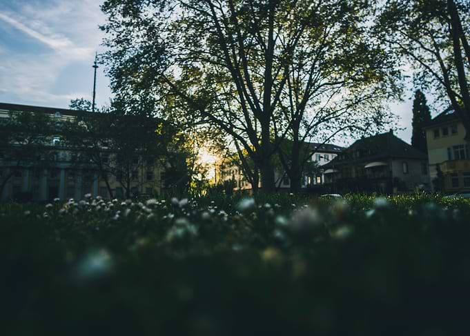 Sunset in Citypark