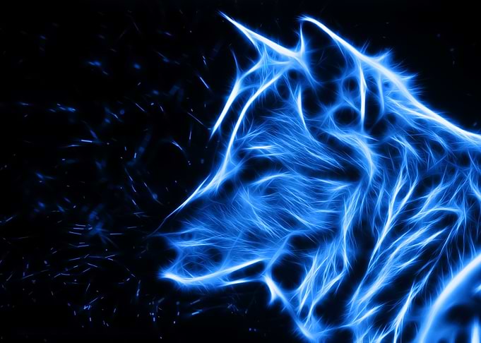 Wolf