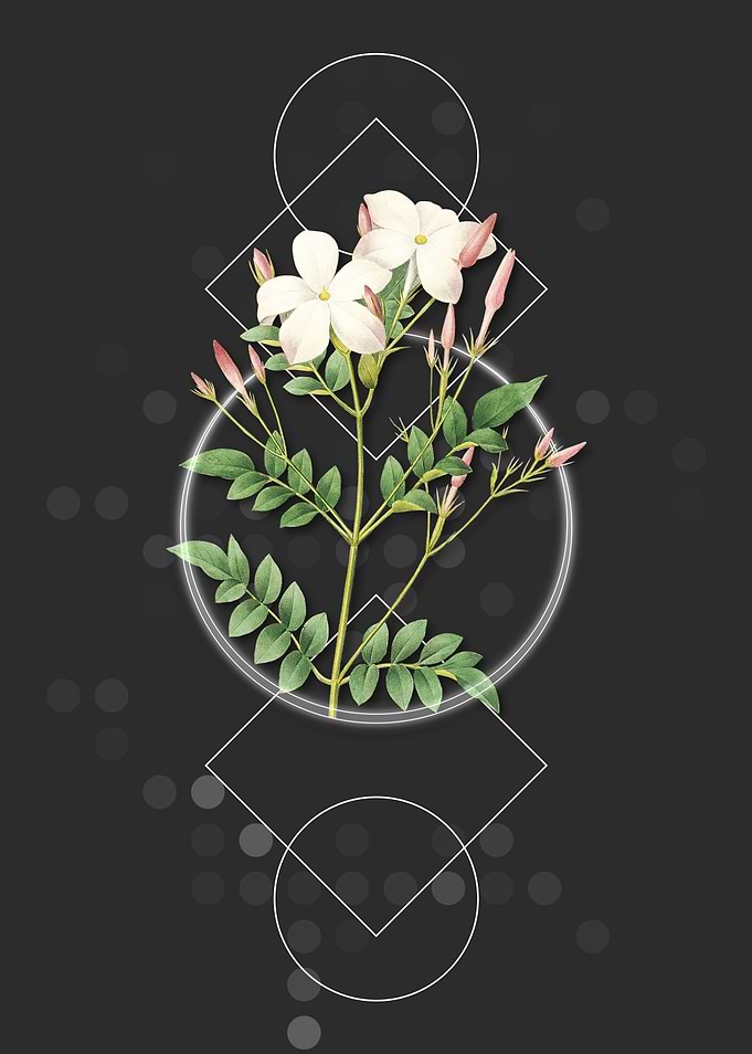 Vintage Spanish Jasmine