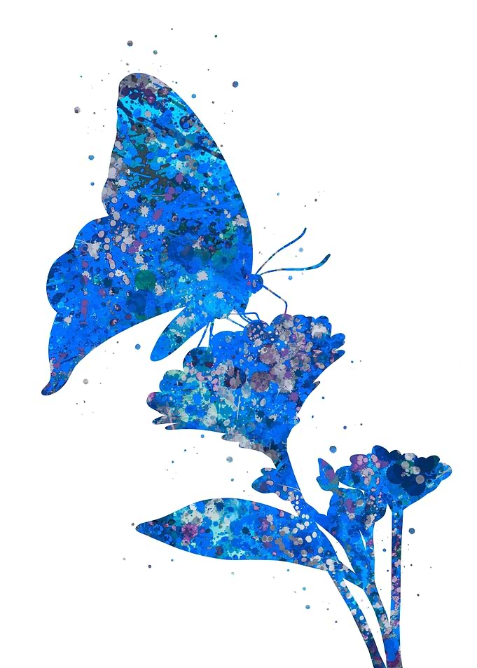 Butterfly and flower blue