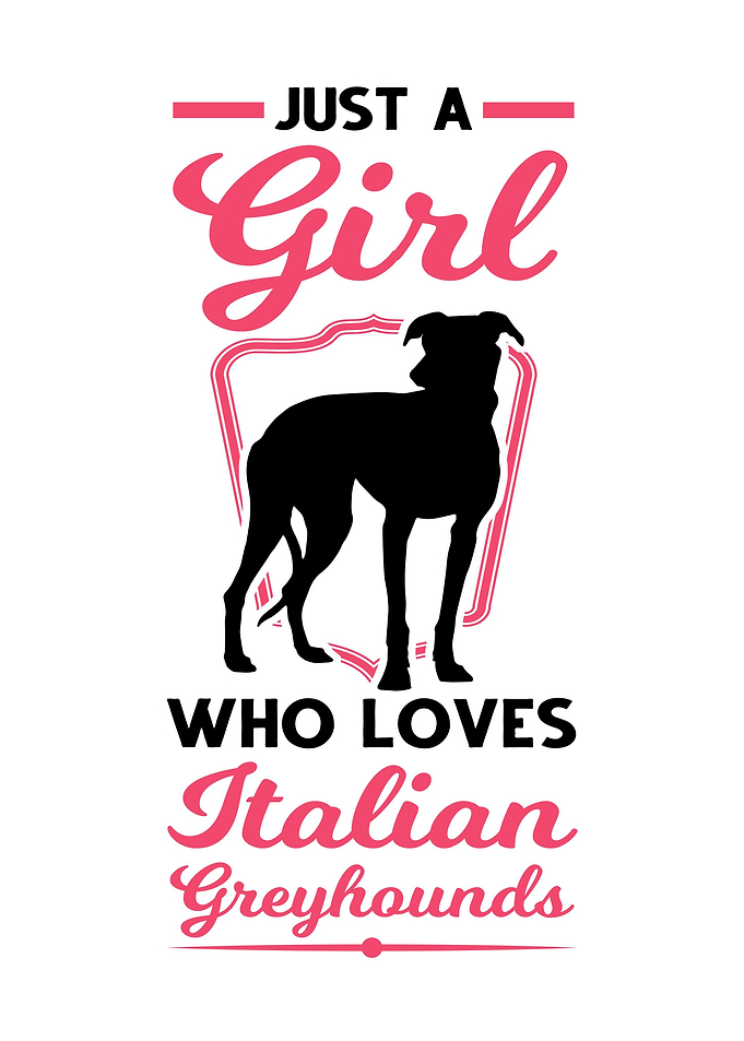 Just A Girl Who Loves
