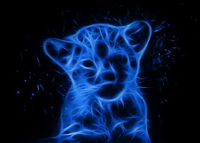 Lion Cub