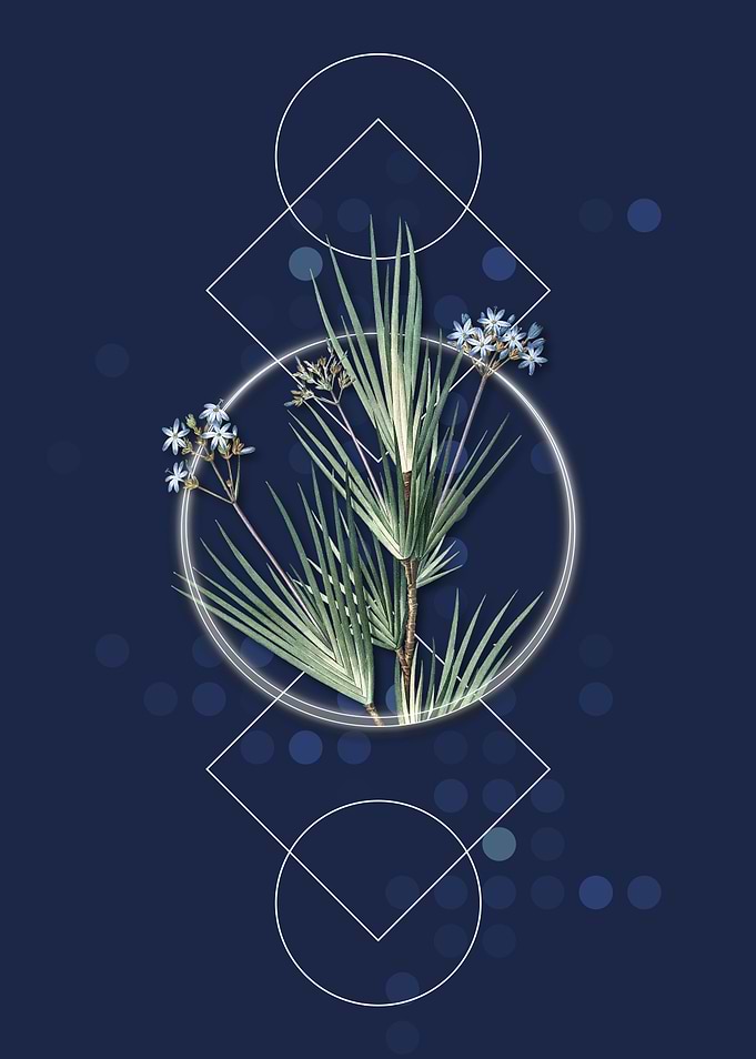 Vintage Blue Stars Flower