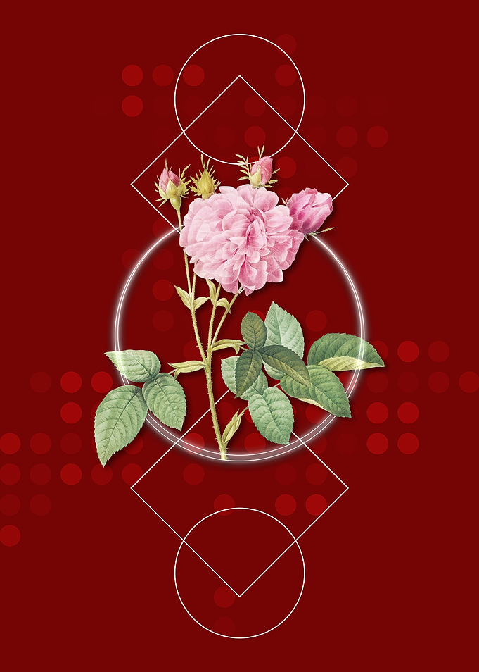 Vintage Pink Agatha Rose