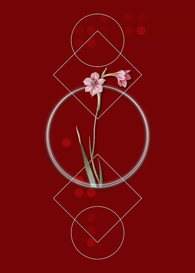 Vintage Sword Lily Flower