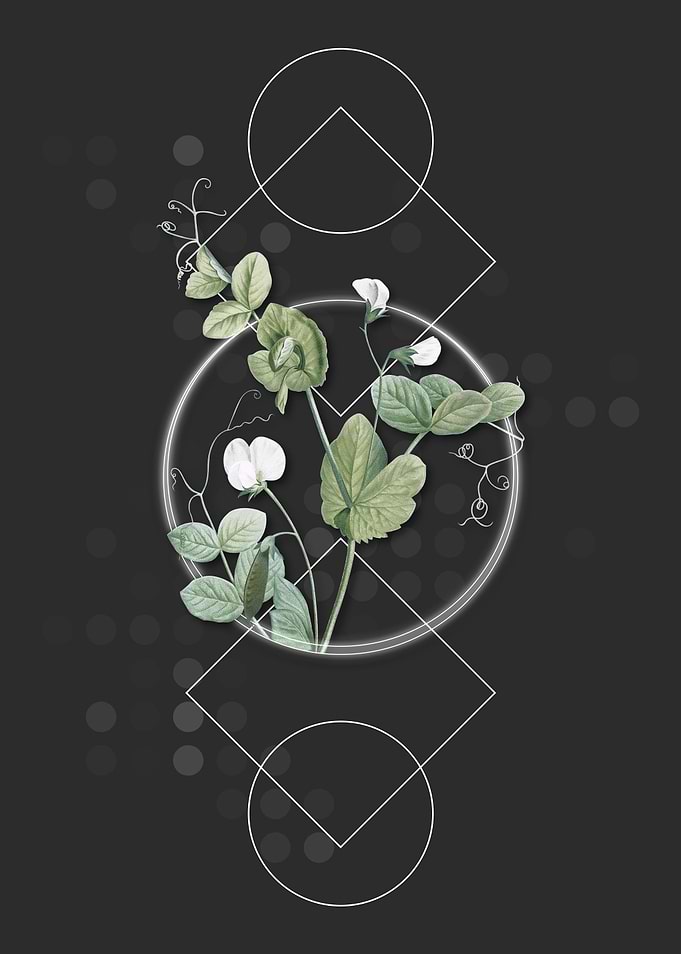 Vintage White Pea Flower