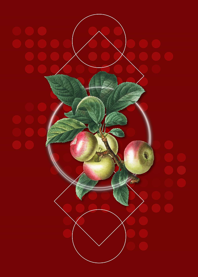 Geometric Apple Fruit