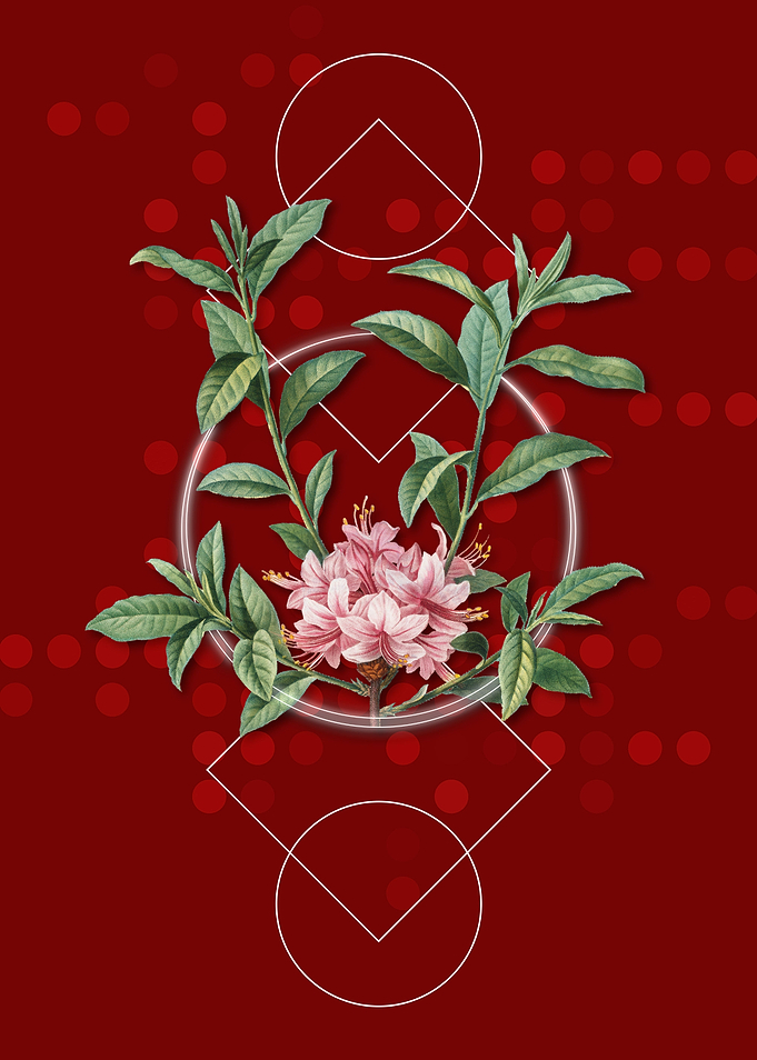 Blooming Azalea Flower