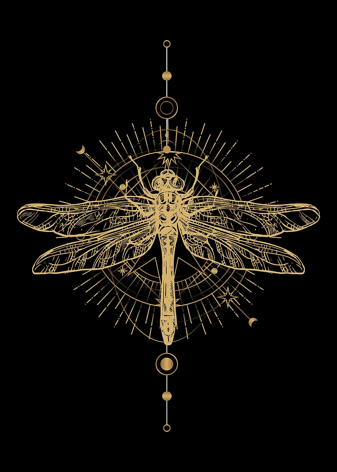 Entomology Dragonfly