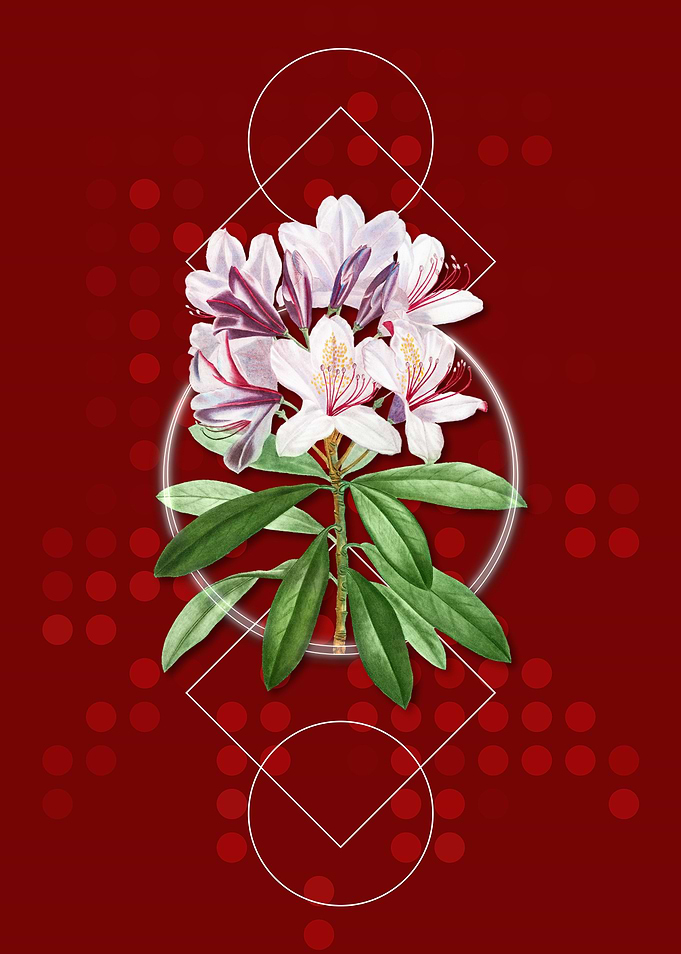 Common Rhododendron Flower