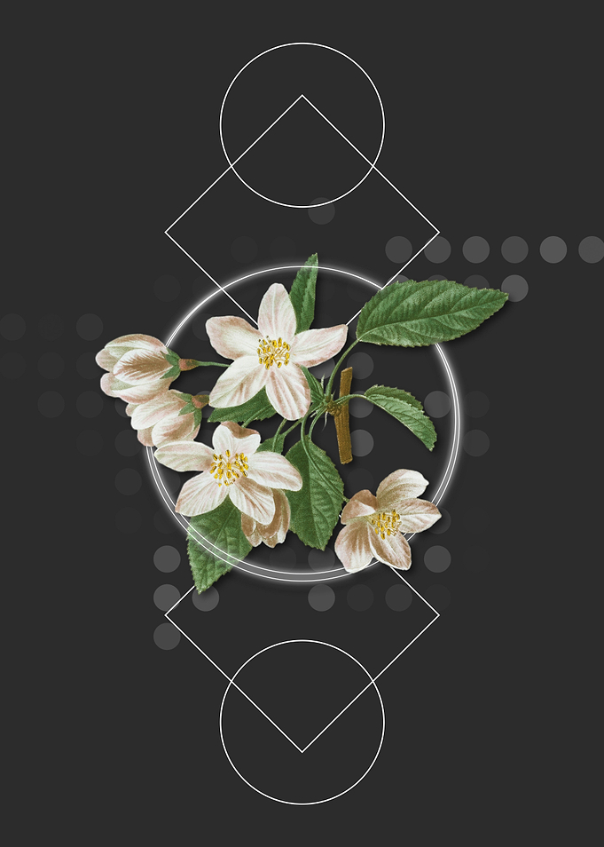 Vintage Crabapple Flower