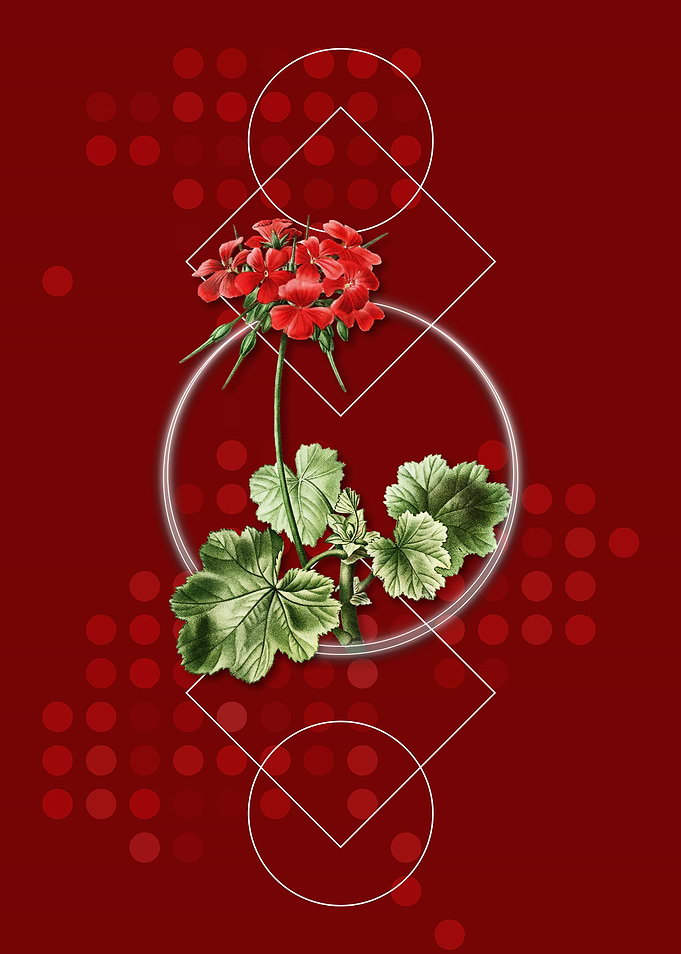 Vintage Scarlet Geranium