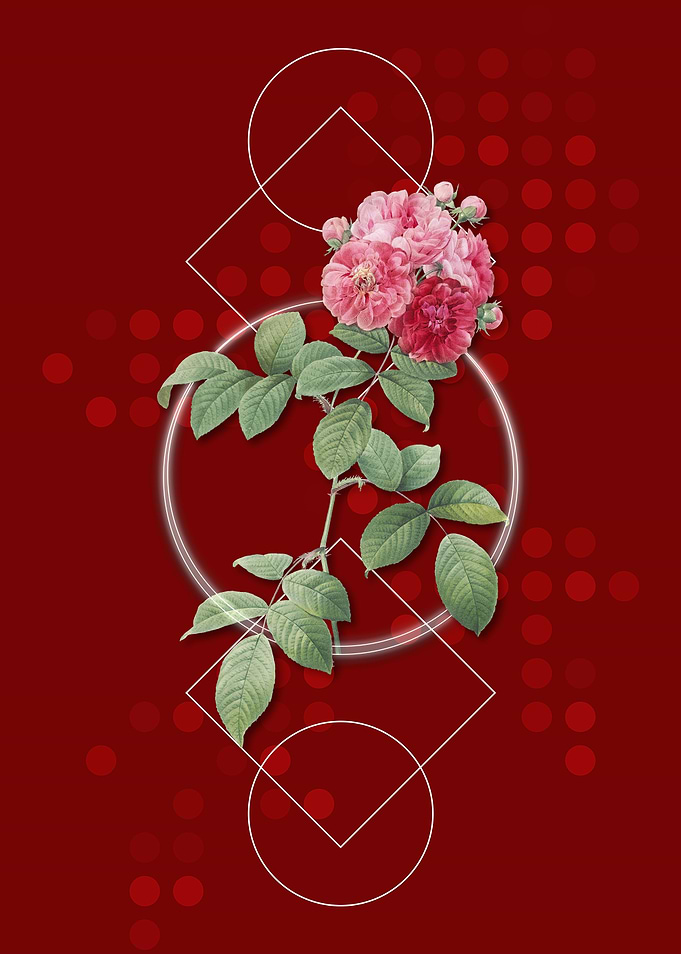 Vintage Seven Sisters Rose