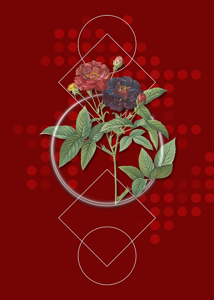 Van Eeden Rose