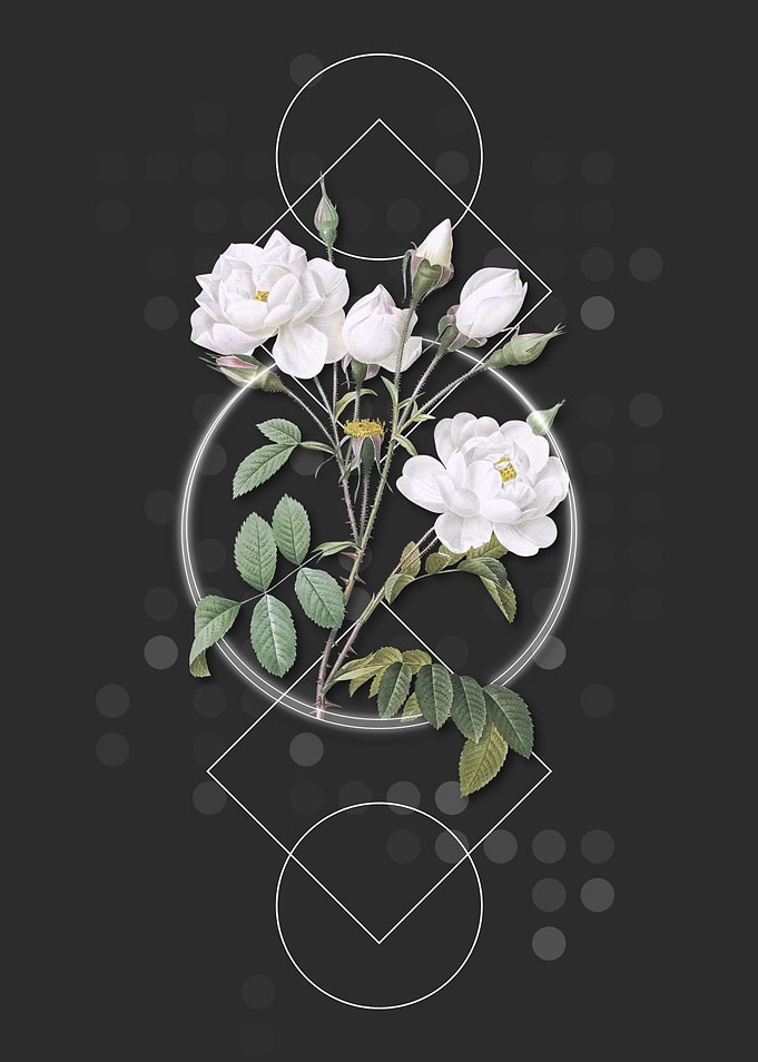 Vintage White Rose Flower