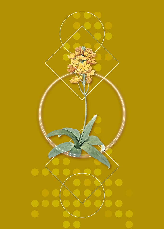 Vintage Sun Star Flower