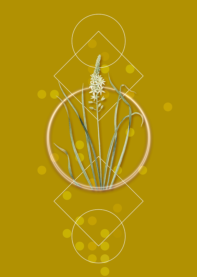 Vintage Wild Asparagus