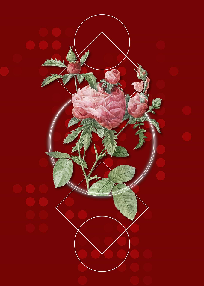 Vintage Cabbage Rose