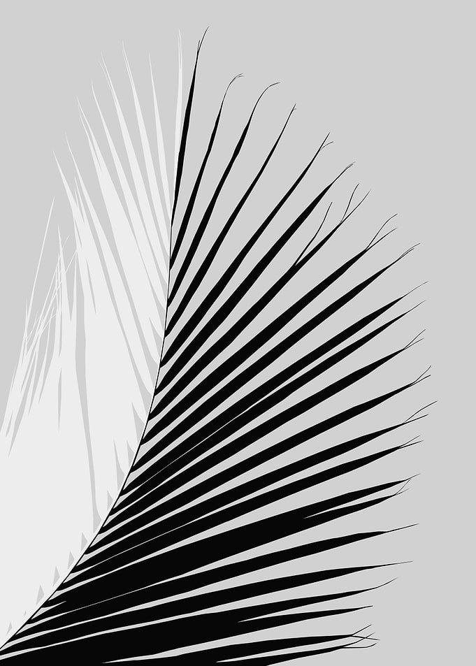 Minimal Yin Yang Palm 2