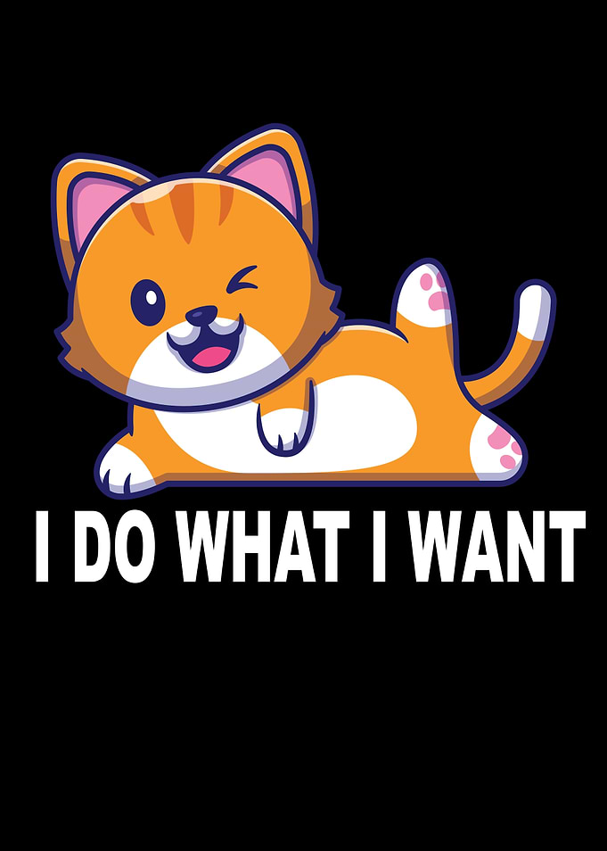 Cat I Do What I Want