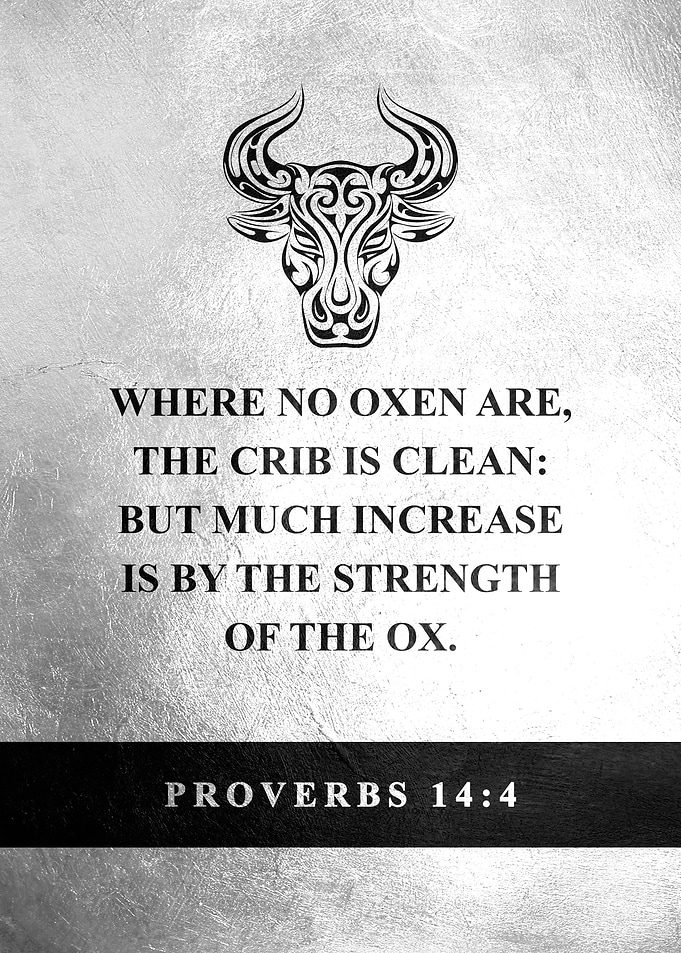 Proverbs 14 4