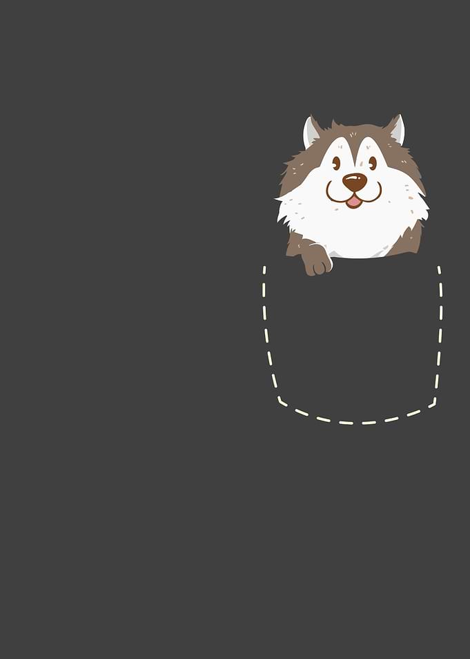 Wolf Pup In Your Pocket