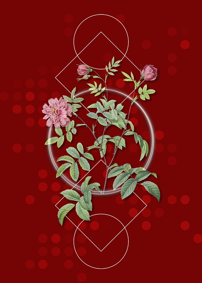 Vintage Cinnamon Rose
