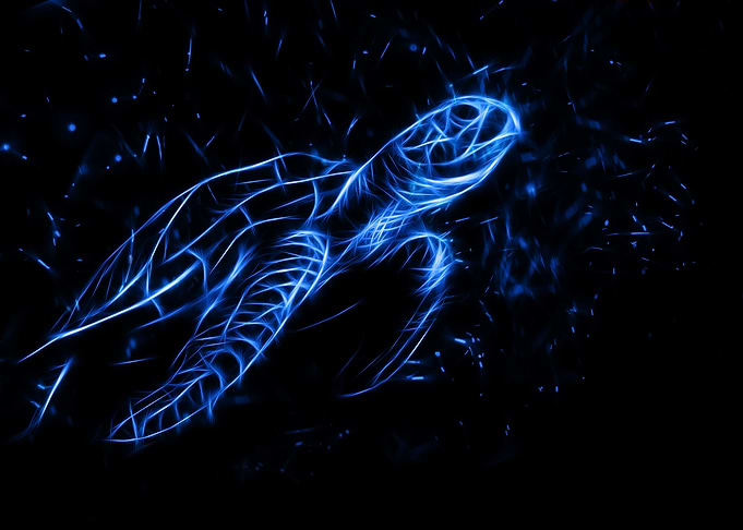 Turtle