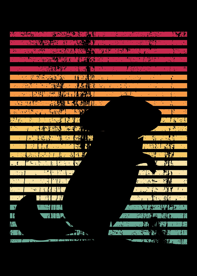 Retro Chinchilla Vintage