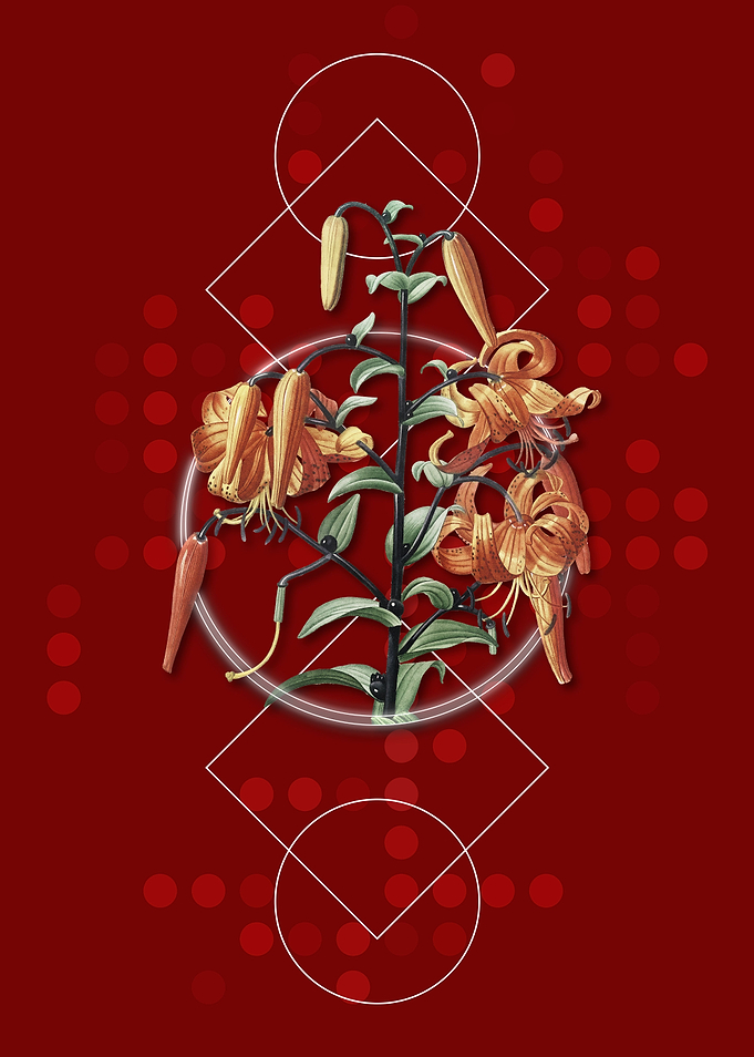 Vintage Tiger Lily Flower