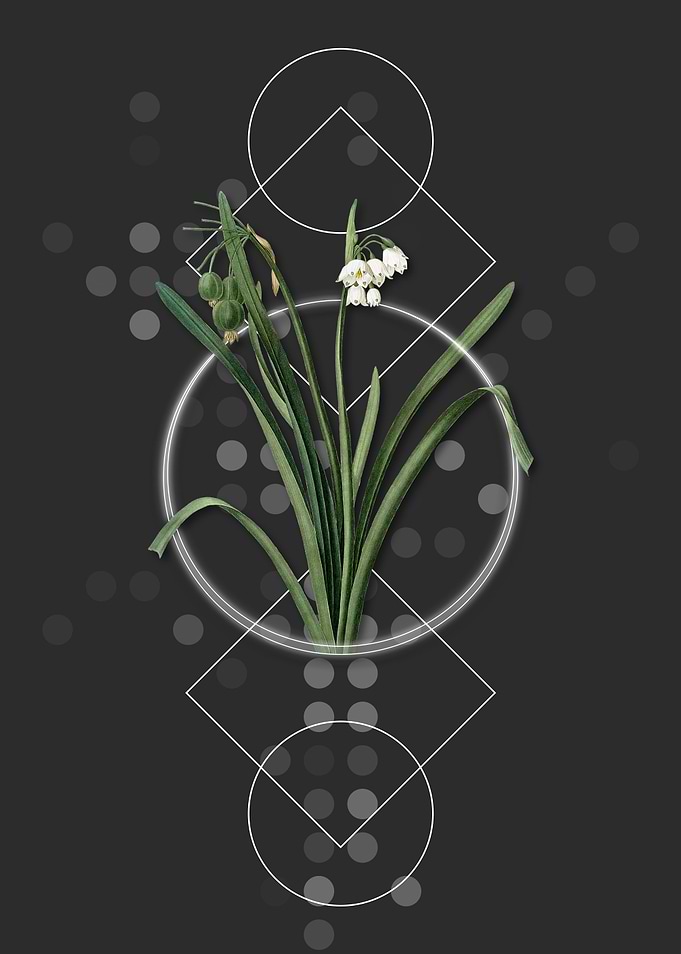 Vintage Summer Snowflake