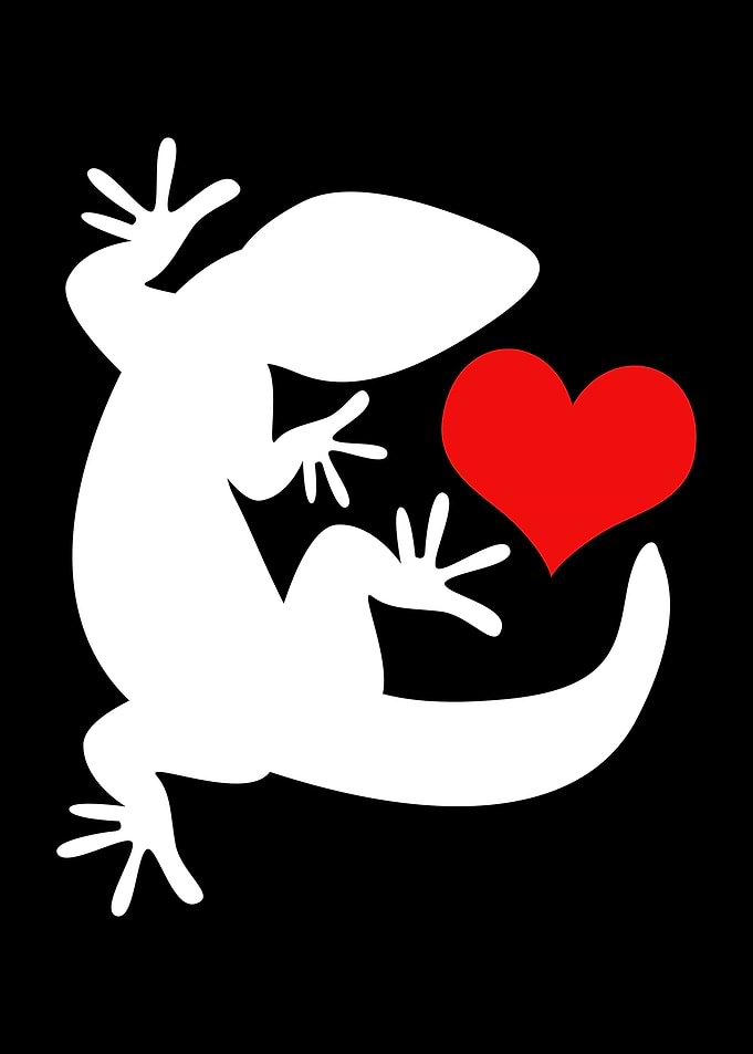Leopard Gecko Love