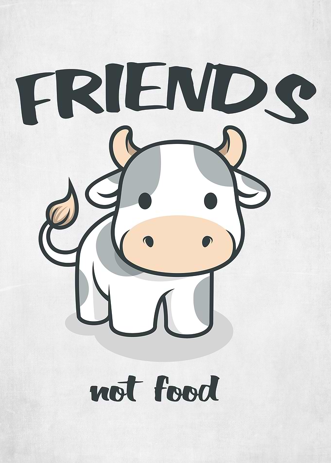 Friends Not Food Vegan