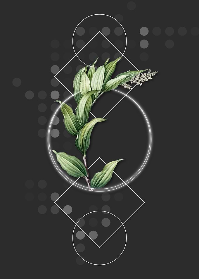 Vintage Treacleberry