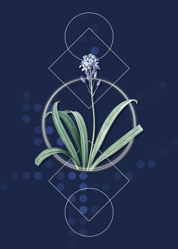 Vintage Spanish Bluebell