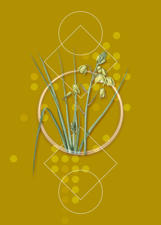 Vintage Slime Lily Flower