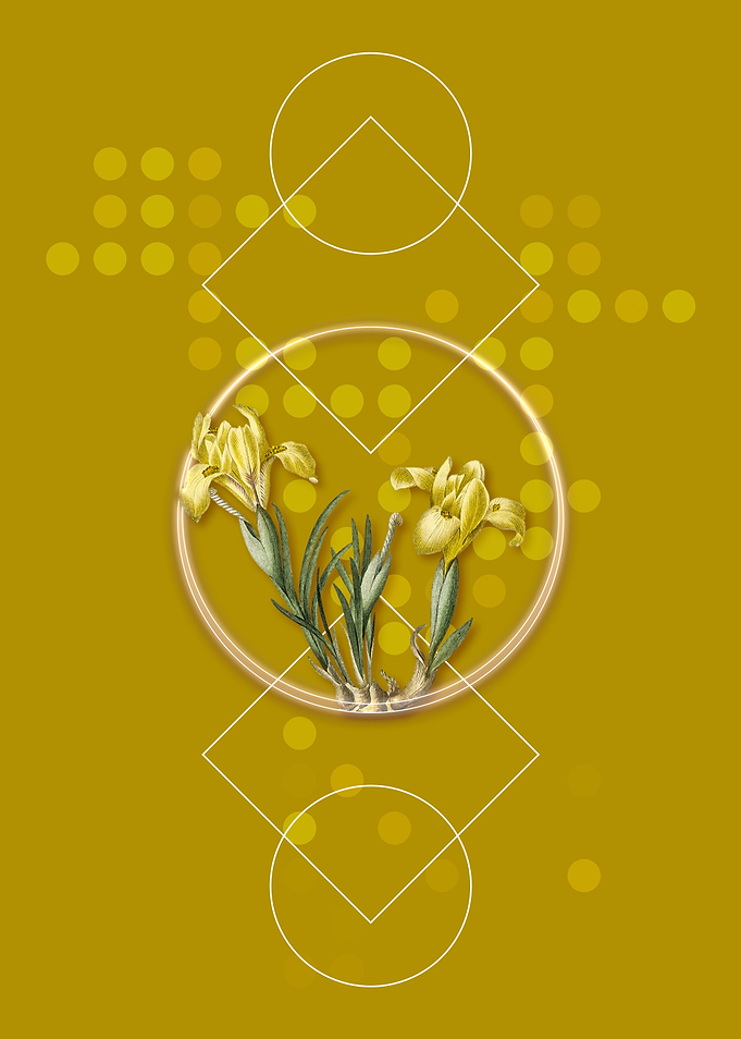 Vintage Sand Iris Flower