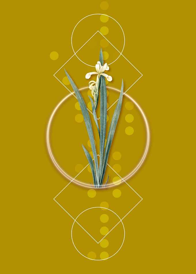 Vintage Yellow Banded Iris