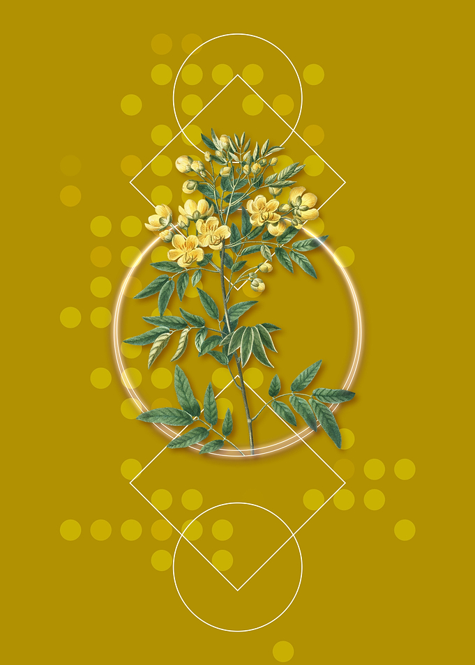 Geometric Argentine Senna