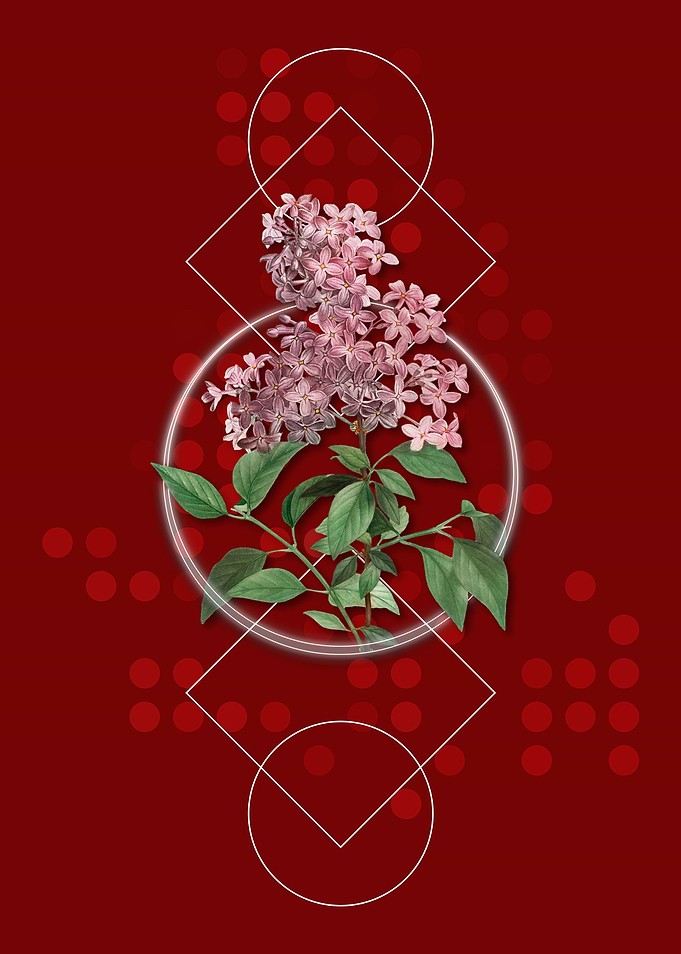 Vintage Chinese Lilac