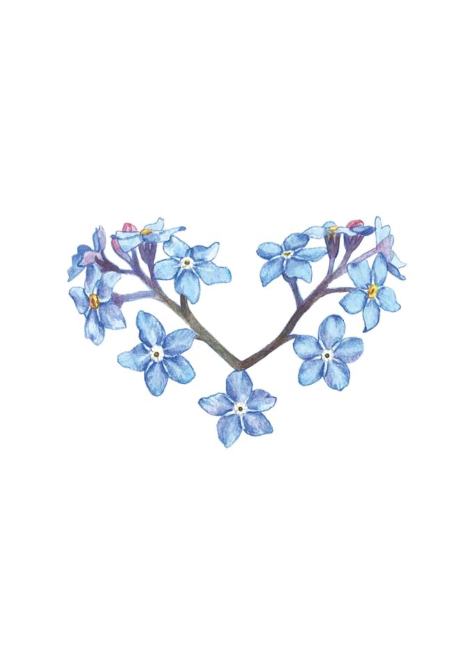 Forget Me Not