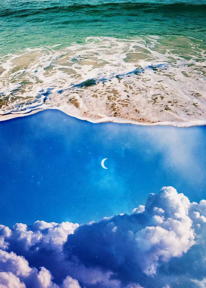 Washed Ashore
