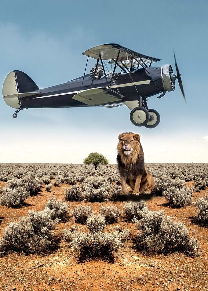 Aero plane escape