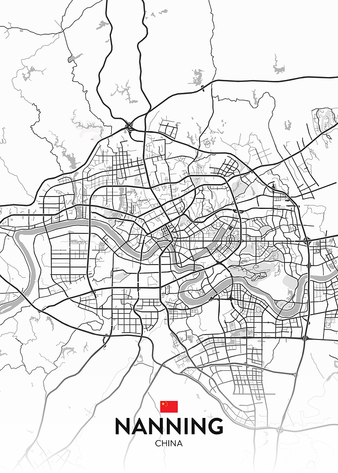 Nanning CN