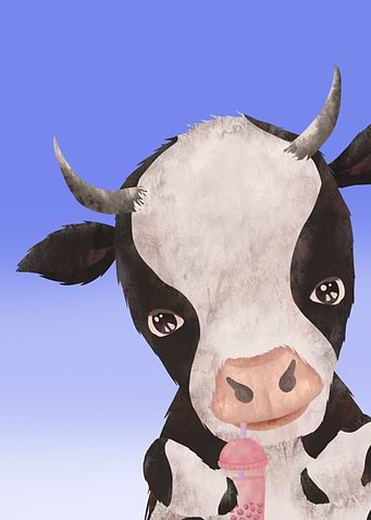 Cow Boba Tea