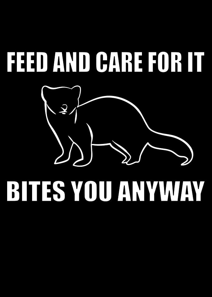 Funny Ferrets Lover Joke