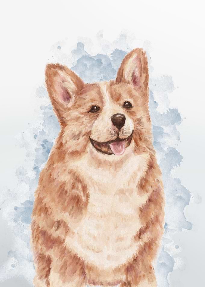 Corgi Water Splash